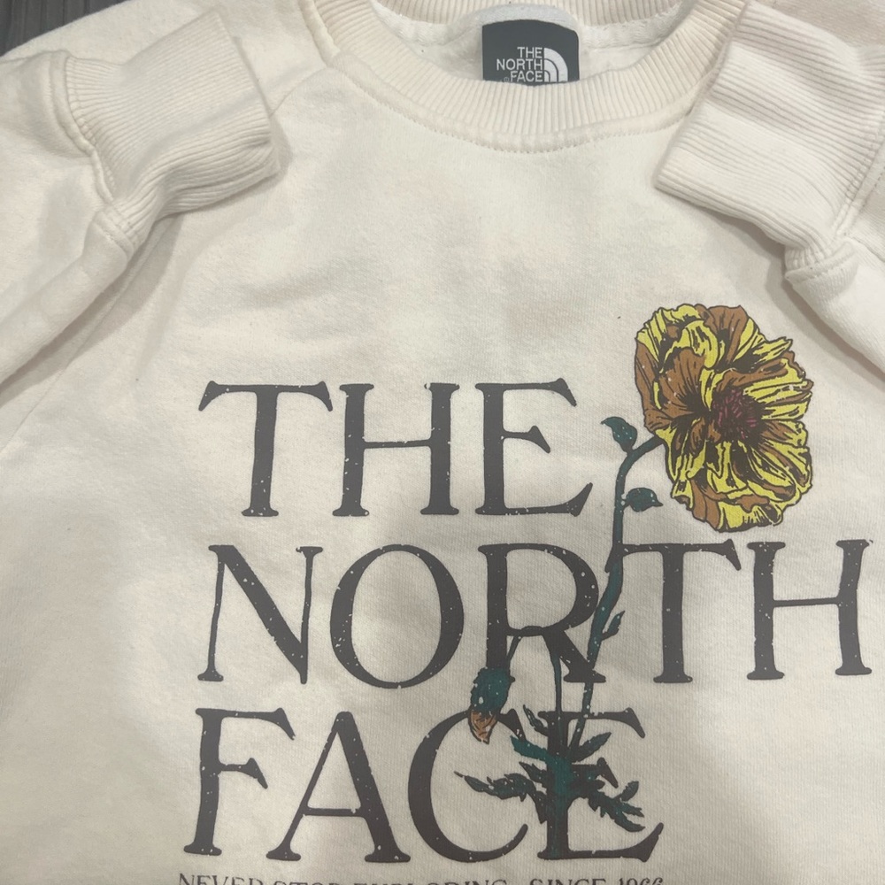 Xs North Face sweater